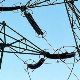 Yıllara göre elektrik üretim tüketim ve kayıplar