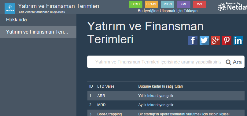 Yatırım ve Finansman Terimleri