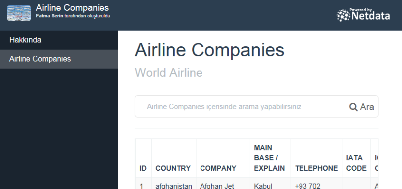 Airline Companies