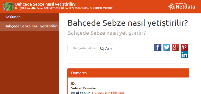 Bahçede Sebze nasıl yetiştirilir?