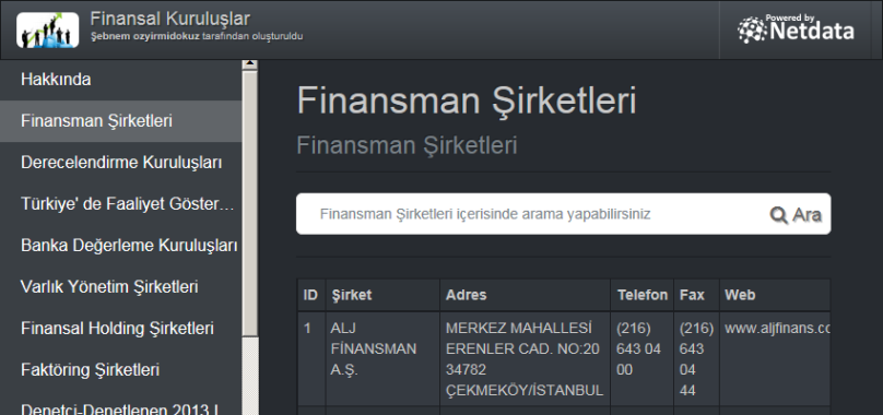 Finansman Şirketleri