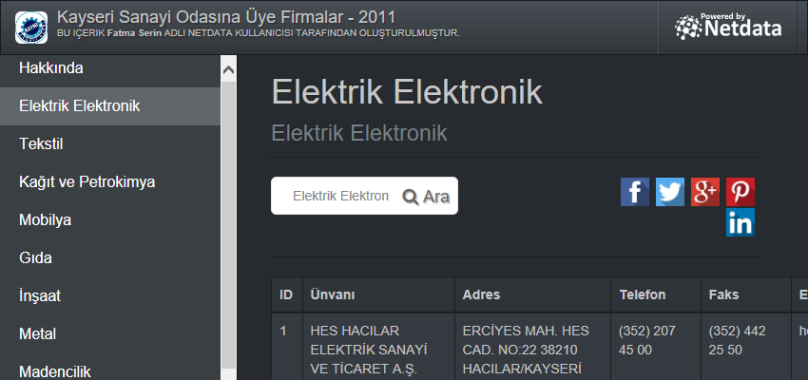 Elektrik Elektronik